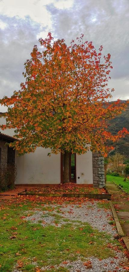 La Calma De Llanes Villa Dış mekan fotoğraf
